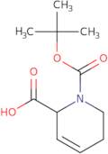 1-[(tert-Butoxy)carbonyl]-1,2,5,6-tetrahydropyridine-2-carboxylic acid