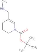 tert-Butyl 5-[(methylamino)methyl]-1,2,3,4-tetrahydropyridine-1-carboxylate