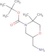 tert-Butyl 2-(aminomethyl)-5,5-dimethylmorpholine-4-carboxylate