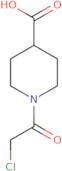 1-(2-chloroacetyl)piperidine-4-carboxylic acid