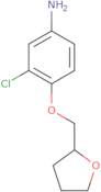 3-Chloro-4-(tetrahydro-2-furanylmethoxy)aniline