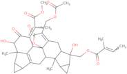 Chlorahololide D