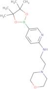 2-(2-Morpholinoethylamino)pyridine-5-boronic acid, pinacol ester