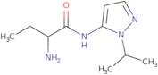 (2S)-2-Amino-N-[1-(propan-2-yl)-1H-pyrazol-5-yl]butanamide