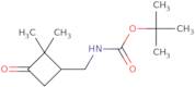 tert-Butyl N-[(2,2-dimethyl-3-oxocyclobutyl)methyl]carbamate