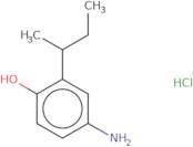 4-Amino-2-(butan-2-yl)phenol hydrochloride