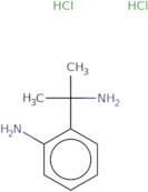 2-(2-Aminopropan-2-yl)aniline dihydrochloride