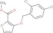 Methyl 3-[(2,4-dichlorobenzyl)oxy]-2-thiophenecarboxylate