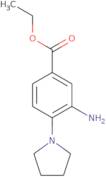 Ethyl 3-amino-4-(1-pyrrolidinyl)benzoate