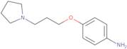 4-[3-(Pyrrolidin-1-yl)propoxy]aniline
