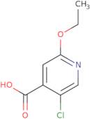 5-Chloro-2-ethoxyisonicotinic acid