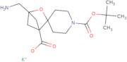 Potassium 4-(aminomethyl)-1'-[(tert-butoxy)carbonyl]-3-oxaspiro[bicyclo[2.1.1]hexane-2,4'-piperidi…