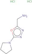 [5-(Pyrrolidin-1-yl)-1,3,4-oxadiazol-2-yl]methanamine dihydrochloride