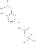 tert-Butyl N-{[4-amino-3-(propan-2-yloxy)phenyl]methyl}carbamate