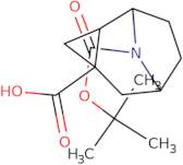 rac-(1R,2S,4R,6S)-9-[(tert-Butoxy)carbonyl]-9-azatricyclo[4.2.1.0,2,4]nonane-4-carboxylic acid, en…