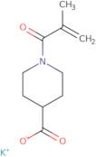 Potassium 1-(2-methylprop-2-enoyl)piperidine-4-carboxylate