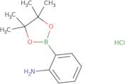 2-Aminophenylboronic acid pinacol ester HCl