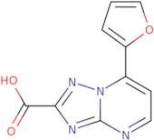 7-(Furan-2-yl)-[1,2,4]triazolo[1,5-a]pyrimidine-2-carboxylic acid