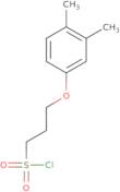 3-(3,4-Dimethylphenoxy)propane-1-sulfonyl chloride