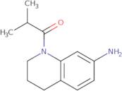 1-Isobutyryl-1,2,3,4-tetrahydroquinolin-7-amine