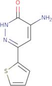 4-Amino-6-(2-thienyl)pyridazin-3(2(H))-one