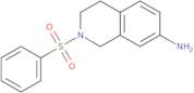 2-(Phenylsulfonyl)-1,2,3,4-tetrahydroisoquinolin-7-amine