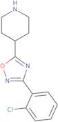 3-(2-Chlorophenyl)-5-(piperidin-4-yl)-1,2,4-oxadiazole