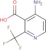 4-Amino-2-(trifluoromethyl)pyridine-3-carboxylic acid