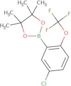 5-Chloro-2-(trifluoromethoxy)phenylboronic acid, pinacol ester