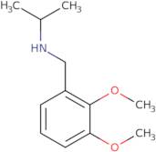 N-[(2,3-Dimethoxyphenyl)methyl]propan-2-amine