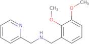 (2,3-Dimethoxy-benzyl)-pyridin-2-ylmethyl-amine