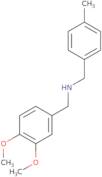 (3,4-Dimethoxybenzyl)(4-methylbenzyl)amine