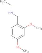 [(2,4-Dimethoxyphenyl)methyl](ethyl)amine