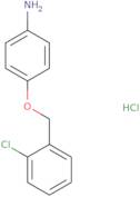 4-[(2-Chlorophenyl)methoxy]aniline hydrochloride