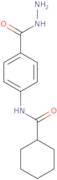 N-[4-(Hydrazinocarbonyl)phenyl]-cyclohexanecarboxamide