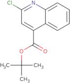 tert-Butyl 2-chloroquinoline-4-carboxylate