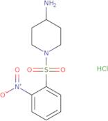 1-(2-Nitro-benzenesulfonyl)-piperidin-4-ylamine