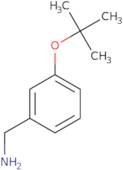 [3-(tert-Butoxy)phenyl]methanamine