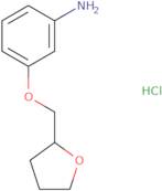 3-(Oxolan-2-ylmethoxy)aniline hydrochloride