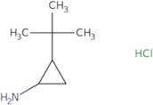 rac-(1R,2S)-2-tert-Butylcyclopropan-1-amine hydrochloride