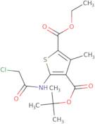 4-tert-Butyl 2-ethyl 5-(2-chloroacetamido)-3-methylthiophene-2,4-dicarboxylate