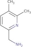 (5,6-Dimethylpyridin-2-yl)methanamine