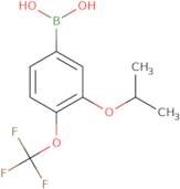 3-Isopropoxy-4-(trifluoromethoxy)phenylboronic acid