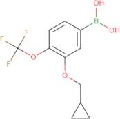 3-(Cyclopropylmethoxy)-4-(trifluoromethoxy)phenylboronic acid