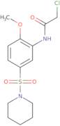 2-Chloro-N-[2-methoxy-5-(piperidine-1-sulfonyl)phenyl]acetamide