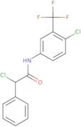 2-Chloro-N-[4-chloro-3-(trifluoromethyl)phenyl]-2-phenylacetamide