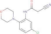 N-[5-Chloro-2-(morpholin-4-yl)phenyl]-2-cyanoacetamide