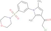 2-Chloro-1-{2,5-dimethyl-1-[3-(morpholine-4-sulfonyl)phenyl]-1H-pyrrol-3-yl}ethan-1-one