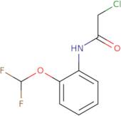 2-Chloro-N-[2-(difluoromethoxy)phenyl]acetamide