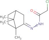 2-Chloro-N'-{1,7,7-trimethylbicyclo[2.2.1]heptan-2-ylidene}acetohydrazide